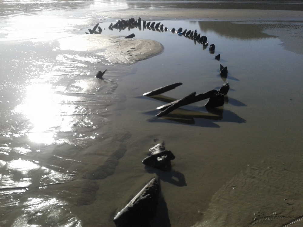 Source : Collection personnelle de Vincent Bathany.Epave de chaloupe sardinière, sur la plage de Ste Anne la Palud, qui pourrait être celle de l'Industrie (vue de l'arrière).