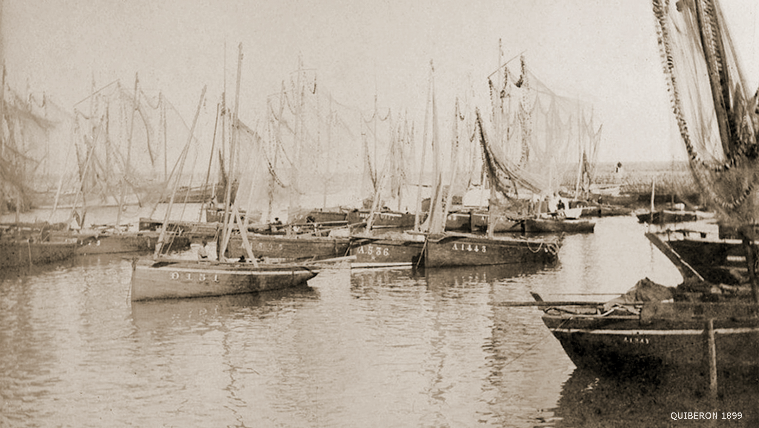 Source : Internet - Site Delcampe - Au premier plan, sur la gauche, la chaloupe "Barbanègre", D 151, dans le port de Quiberon, en 1899.