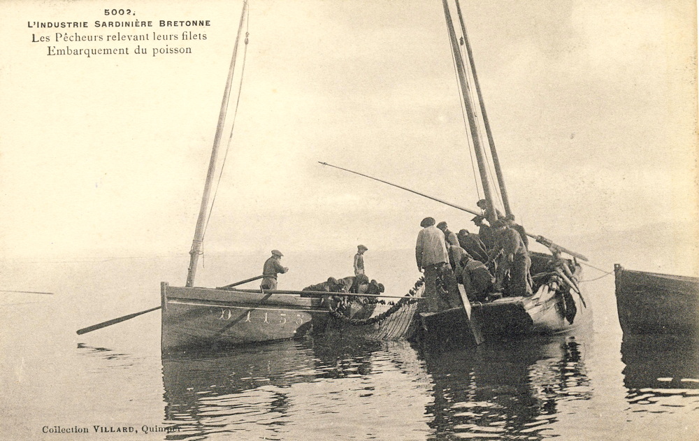Source : Archives Départementales du Finistère. Ar Vag Tome 1 dit : Pêche à la senne de sprat en baie de Douarnenez