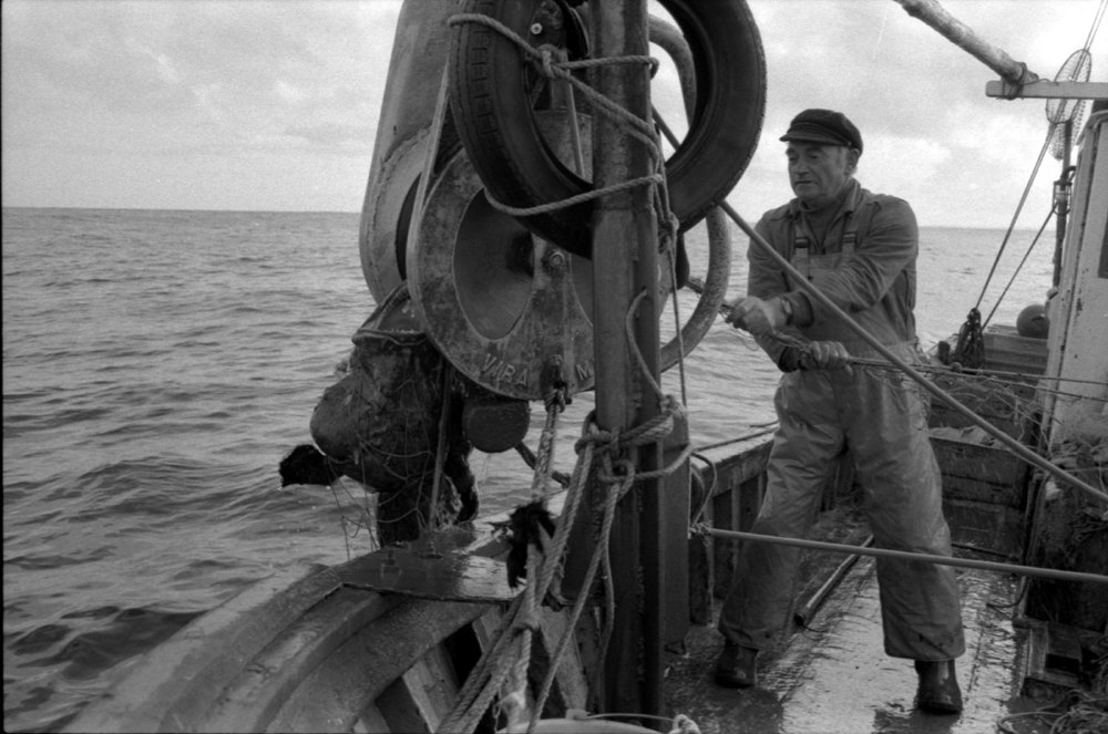 Source : Collection personnelle de Jean-Pierre Bonerandi.Scène de pêche de baudroie au filet de raie, le patron Marcel Colin.