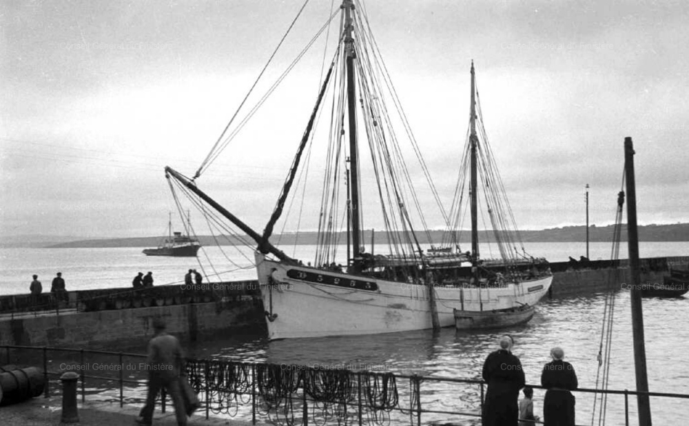 Source : Archives Départementales du Finistère. En arrière-plan : le remorqueur hollandais "Zwarte Zee" qui a remplacé le remorqueur allemand "Seefalke" à Douarnenez.