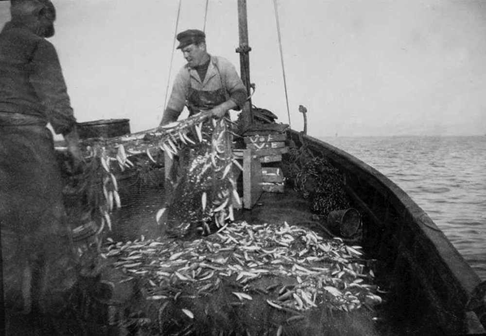 Source : Collection personnelle de Jacqueline Vigouroux.Pêche à la sardine au filet droit.