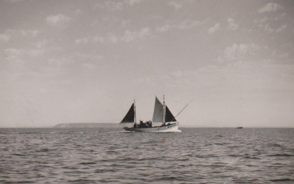 Source : Collection personnelle de Pierrick Soyer.Retour pêche, le thonier Croix du Sud passant au Cap de la Chèvre, prise le 5 août 1949.