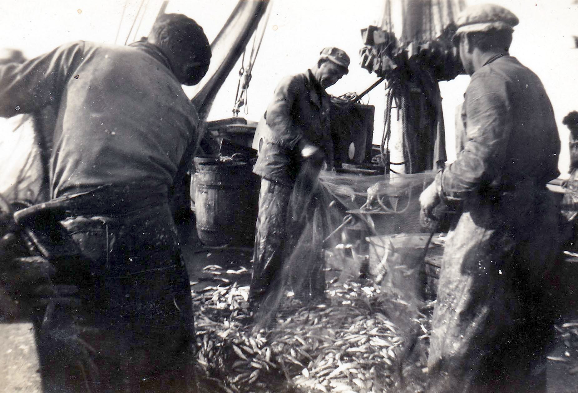 Photo François Celton transmise par Jean Celton. Pêche à la sardine, probablement au Maroc, pour faire la sardine salée. 1949 - 1950