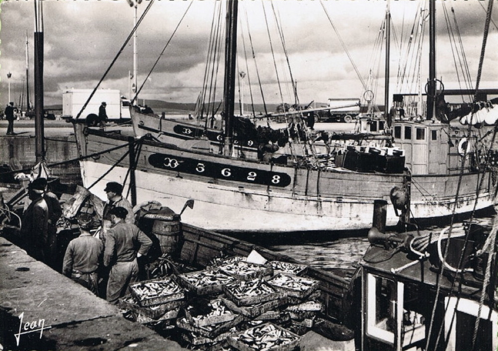 Source : Collection personnelle de Jean Quéméneur. Sur le bateau à quai : en haut, à gauche : Marc RIOU (1902-1974). En face de lui, à droite, Alain Riou (Non parent)