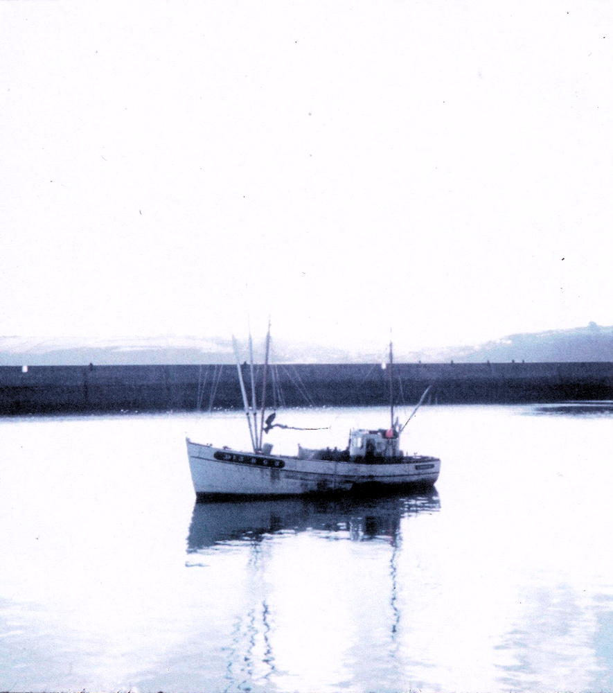 Source : Collection personnelle de Robert Largenton. Au nouveau port de Douarnenez, armé pour le thon, en septembre 1967.